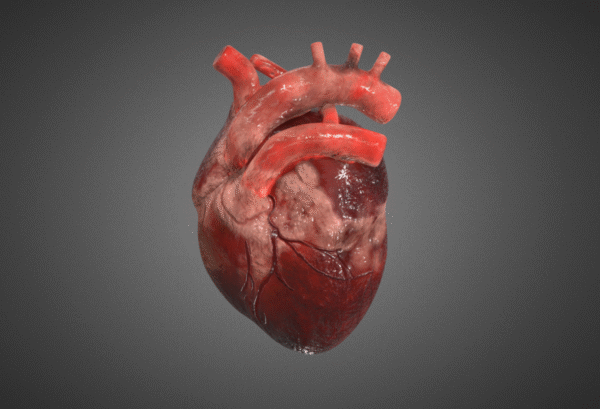 Custom - Media Pembelajaran 3D Interaktif - Gambar 6