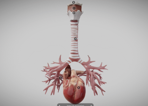 Custom - Media Pembelajaran 3D Interaktif - Gambar 2